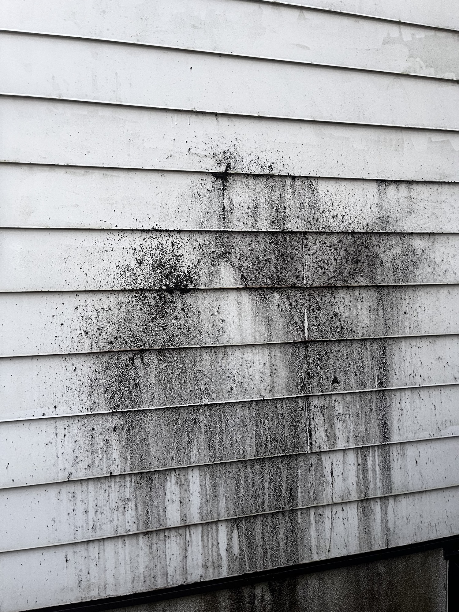 Before house cleaning